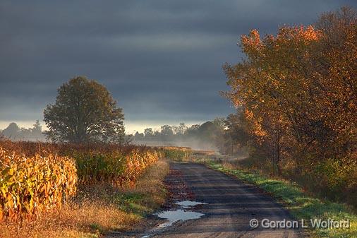 Field Road_09017.jpg - Photographed near Carleton Place, Ontario, Canada.